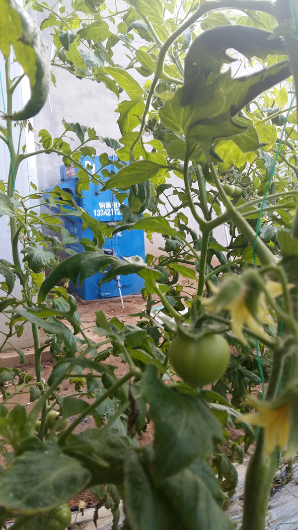 蔬菜大棚暖风炉