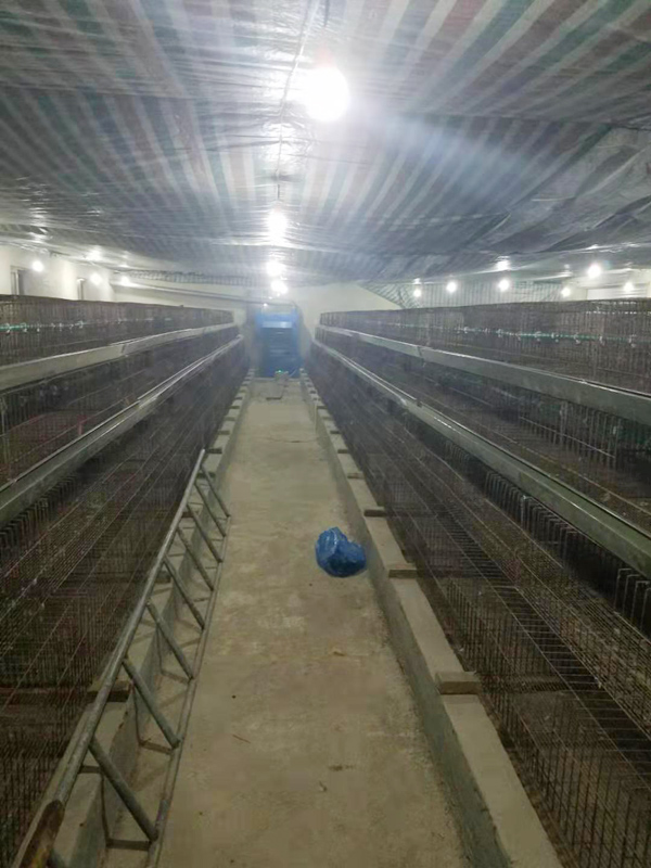育雏热风炉